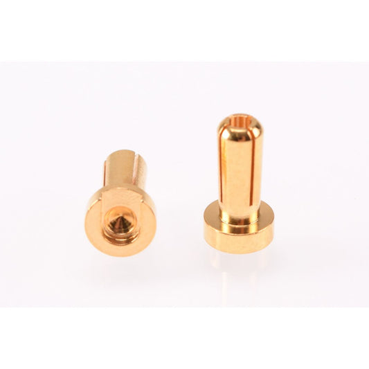 RP-0181 - RUDDOG 4mm Gold Plug Male 12mm (2pcs)